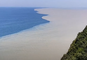 Karadeniz'de selin getirdiği çamur yayılıyor