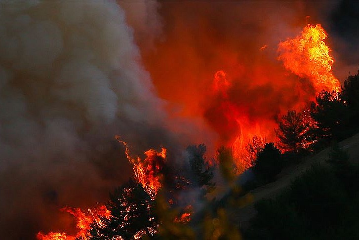 Antalya-Burdur arasında orman yangını