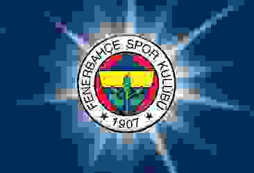 Fenerbahçe'nin Hollanda takımları karnesi