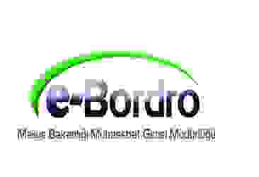 e-Devlet üzerinden e-Bordro maaş sorgulama nasıl yapılır?