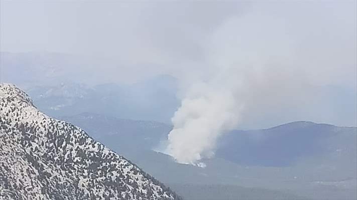Akseki'de orman yangını çıktı