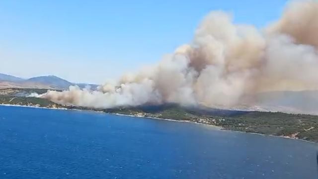İzmir'de orman yangını! Yazlıklar tahliye ediliyor
