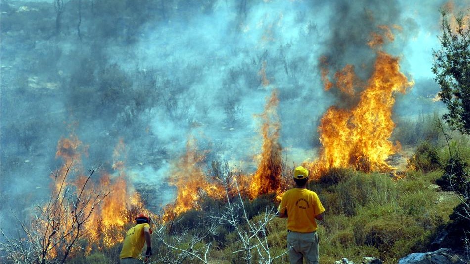 Kazakistan'daki orman yangını kontrol altına alındı