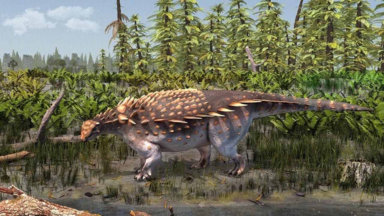 Yeni bir zırhlı dinozor türü bulundu