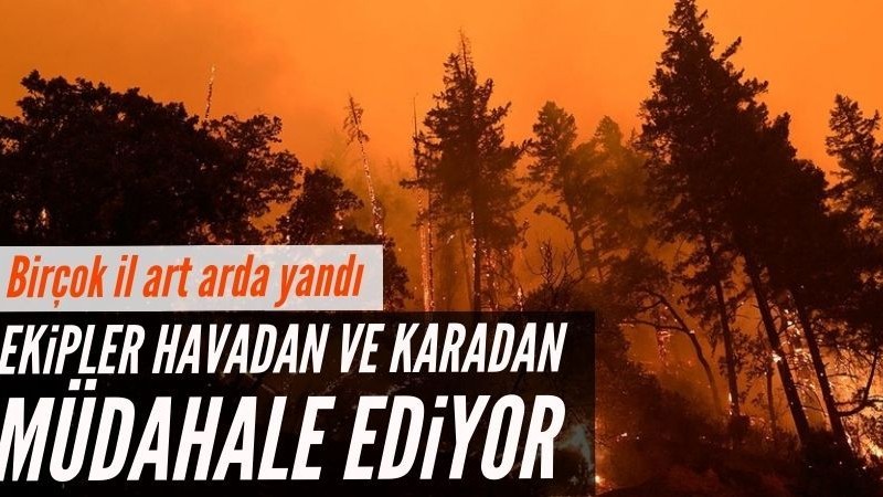 Türkiye'nin birçok ilinde yangın çıktı: Ekiplerin müdahalesi sürüyor