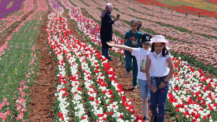 Karaman'daki lale bahçesi bayram ziyaretçileriyle hareketlendi