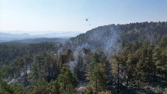 Akseki'deki orman yangınları kontrol altına alındı