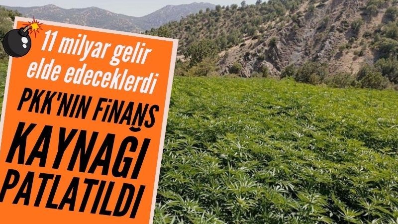 PKK'nın 11 milyar liralık yasa dışı uyuşturucu geliri engellendi