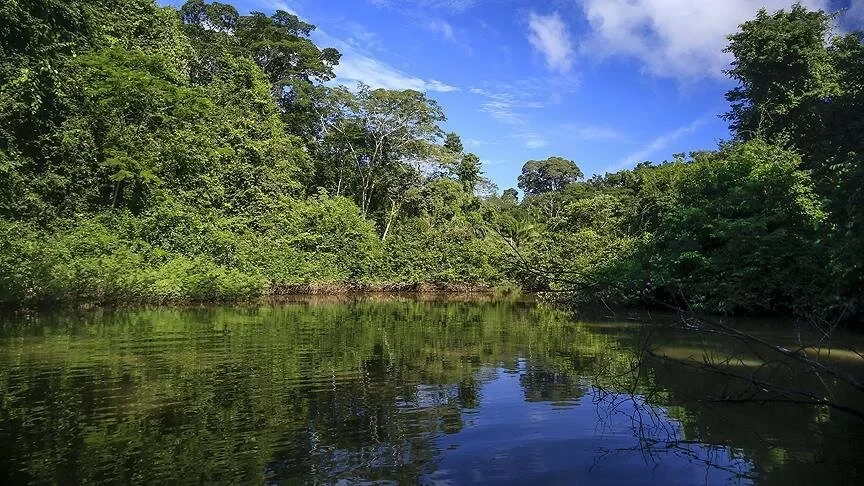 Birleşik Krallık, Amazon ormanlarının korunması için Kolombiya'ya mali destek sağlayacak