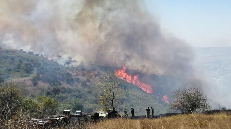 Çankırı'da ormanlık alanda yangın çıktı