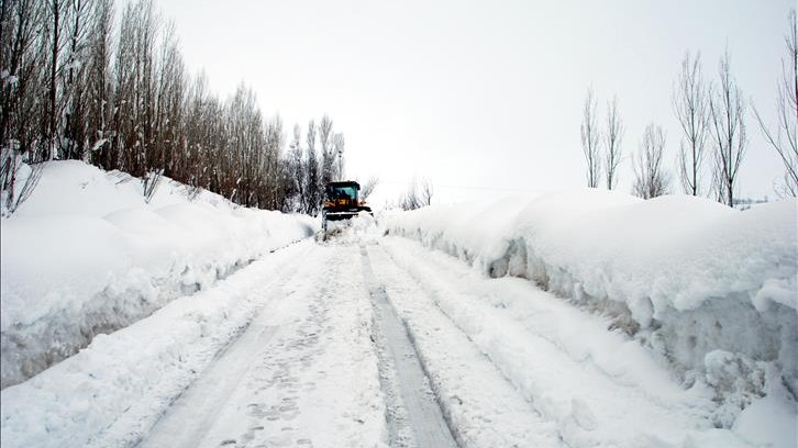 Erzurum ve Ağrı'da 113 köy yolu kapandı