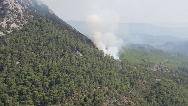 Marmaris'te Orman Yangın Kulesi civarında  yangın çıktı