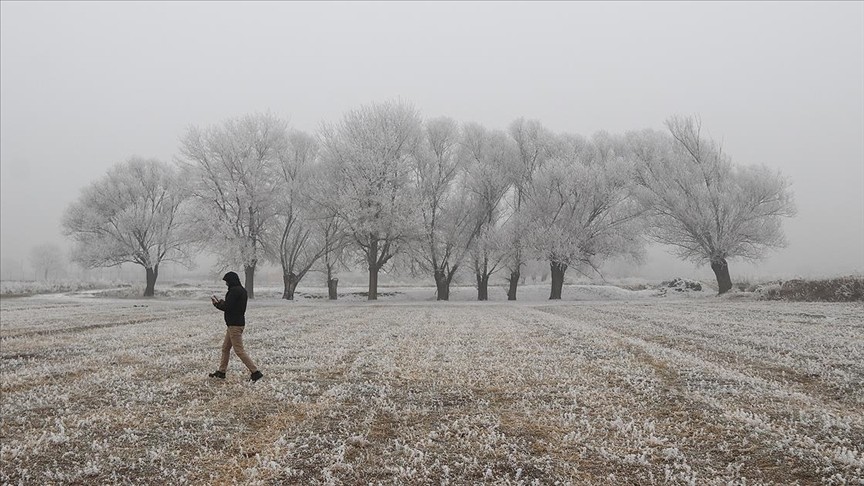Ardahan'da soğuk hava nedeniyle kırağı ve buzlanma oluştu