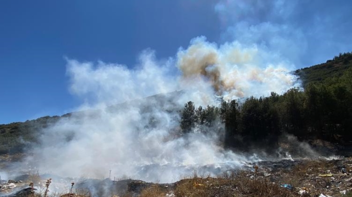 Burdur'daki orman yangını kontrol altında