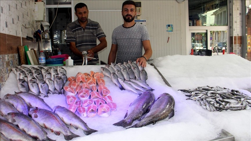 Sinop'ta balıkçıların ağları boş kaldı