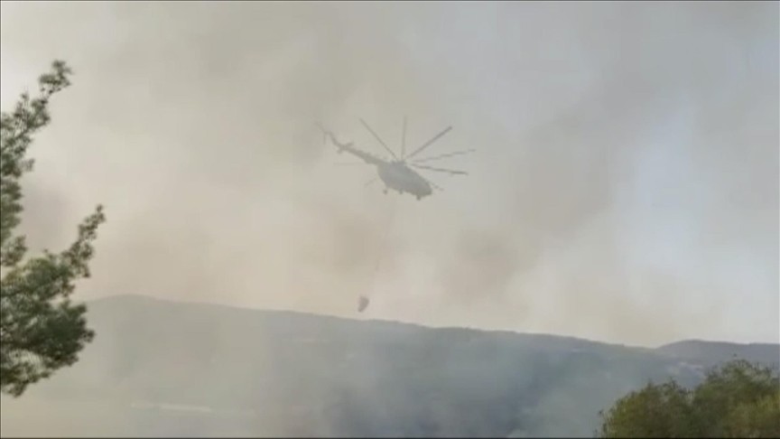 Manisa: Hamidiye Mahallesi yakınlarında orman yangını çıktı