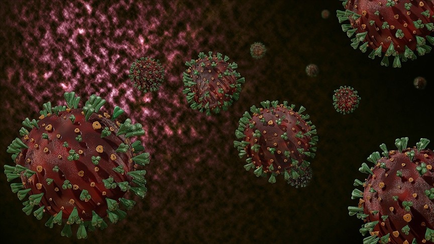Eris Virüsü Nedir, Belirtileri Nelerdir?