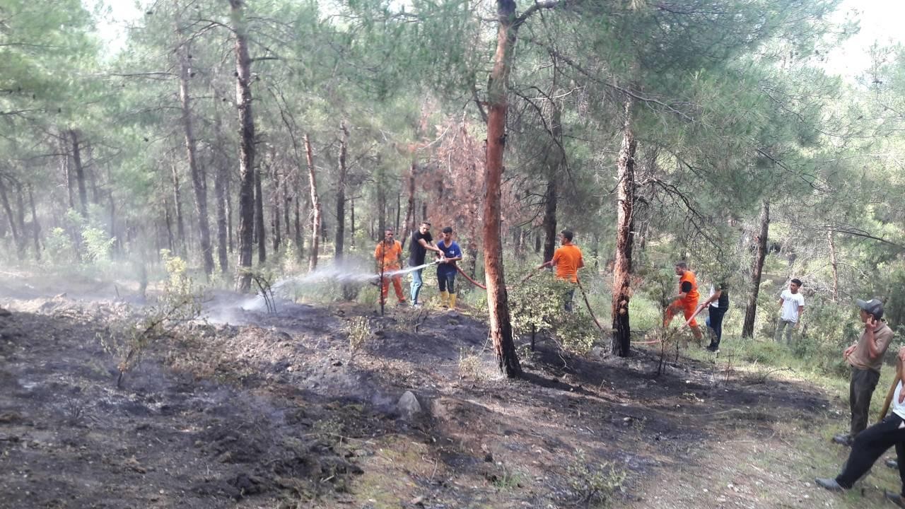 Sinop'ta ormana düşen yıldırım yangın çıkardı