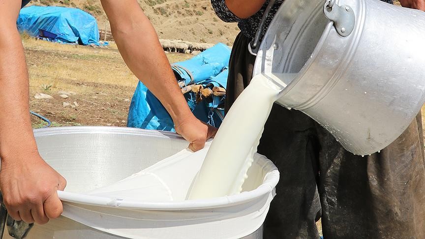 35 ildeki 11 bin üreticiye "Uygulamalı Süt Hijyeni Eğitimi" verildi