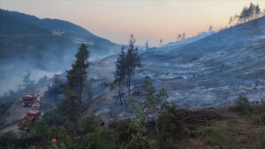 Bilecik orman yangını: Kontrol altına alındı
