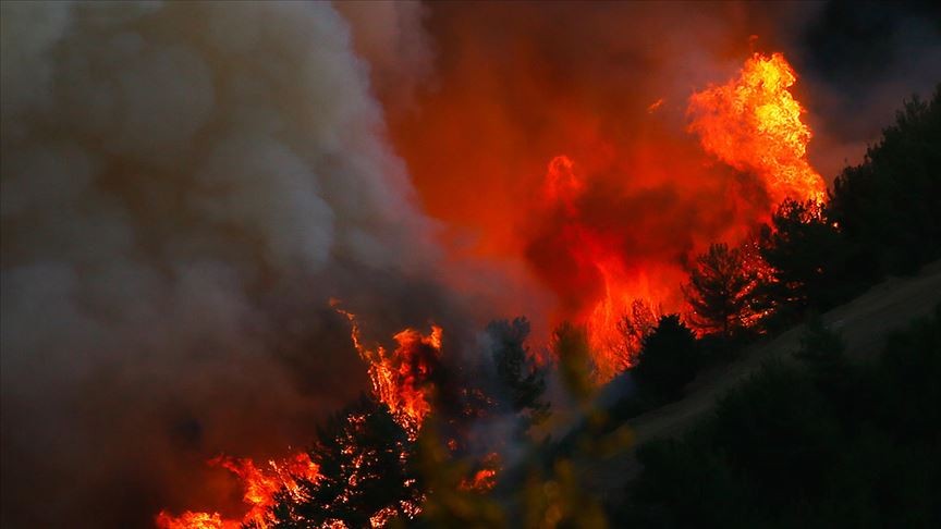 İzmir'deki orman yangını nedeniyle uçak seferleri aksıyor