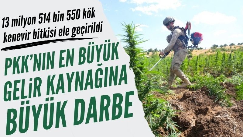 Diyarbakır'da 13 milyon 514 bin 550 kök kenevir bitkisi ele geçirildi