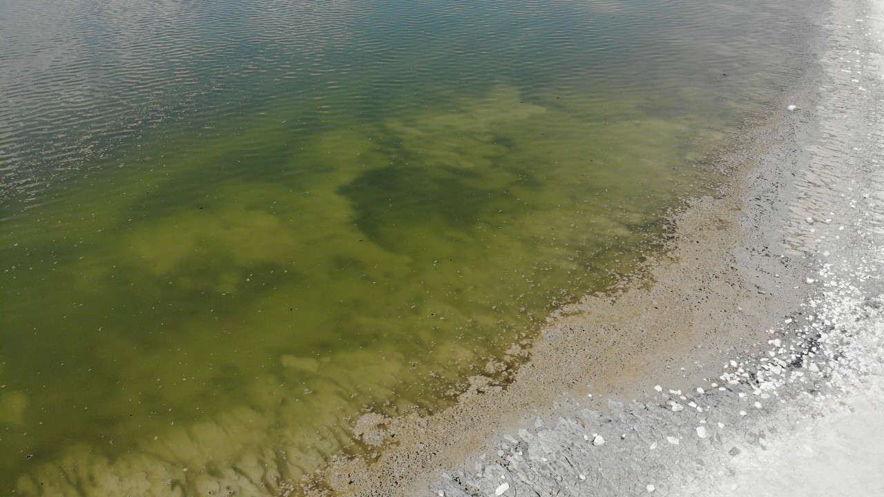 Burdur Gölü'nde alg patlaması yaşandı
