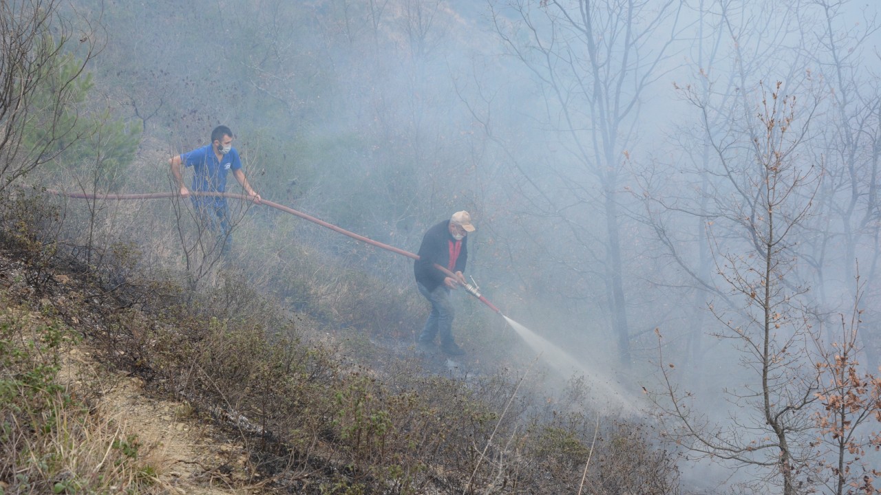 Kastamonu İnebolu'da orman yangını