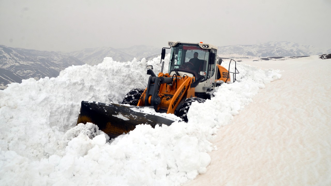 Muş'ta ekipler kar mücadelesi veriyor