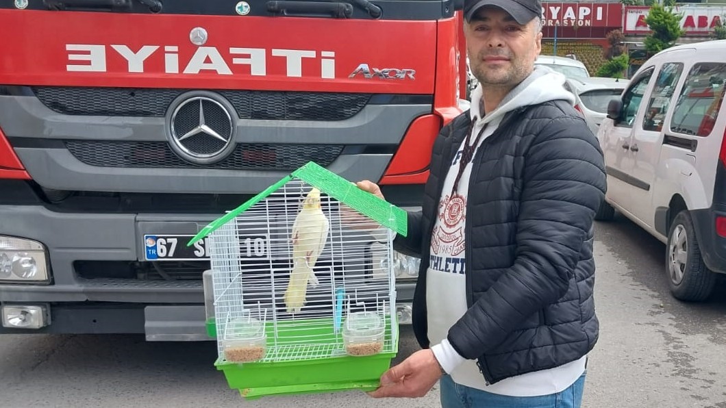 Zonguldak'ta evin penceresinden kaçan papağanı itfaiye yakaladı
