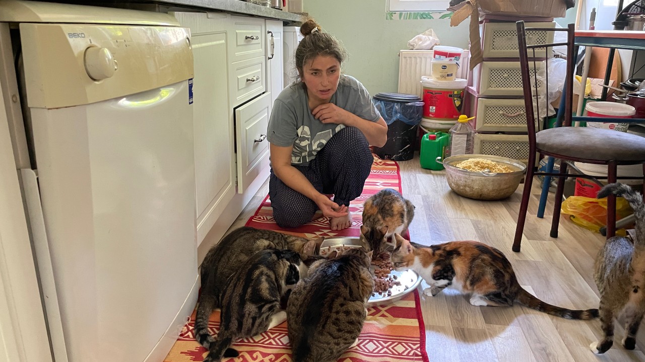 Hayatını "can dostlar"a adayan kadın evini 43 kedi ve köpekle paylaşıyor