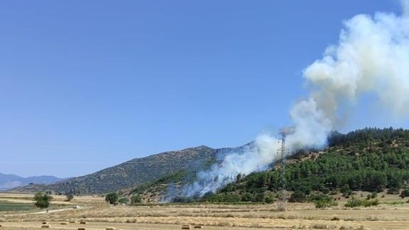 Burdur'da hububat tarlasında çıkan ve ormana sıçrayan yangın kontrol altına alındı
