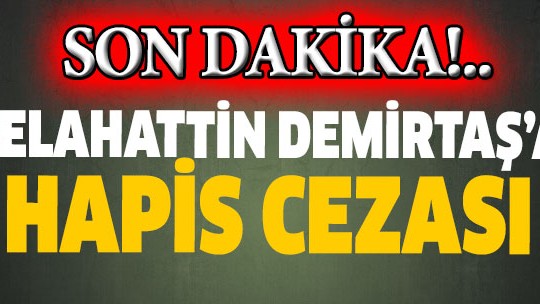 Selahattin Demirtaş'a hapis cezası