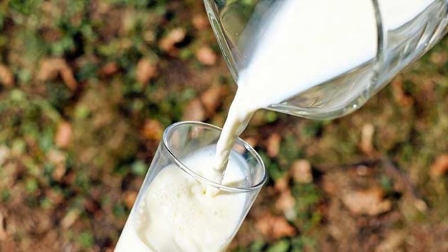 Bakanlıktan süt üreticilerine destek