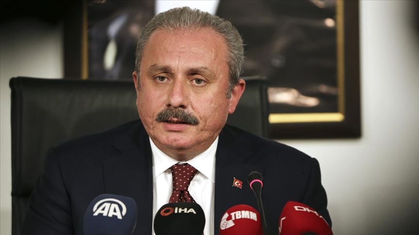 Şentop''tan HDP''li milletvekiline kınama