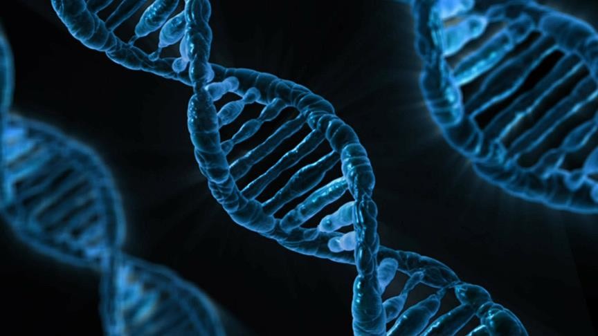 Türk bilim insanlarından ''DNA''da önemli tespit!