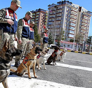 Terörle mücadelede eğitimli köpekler göz açtırmıyor