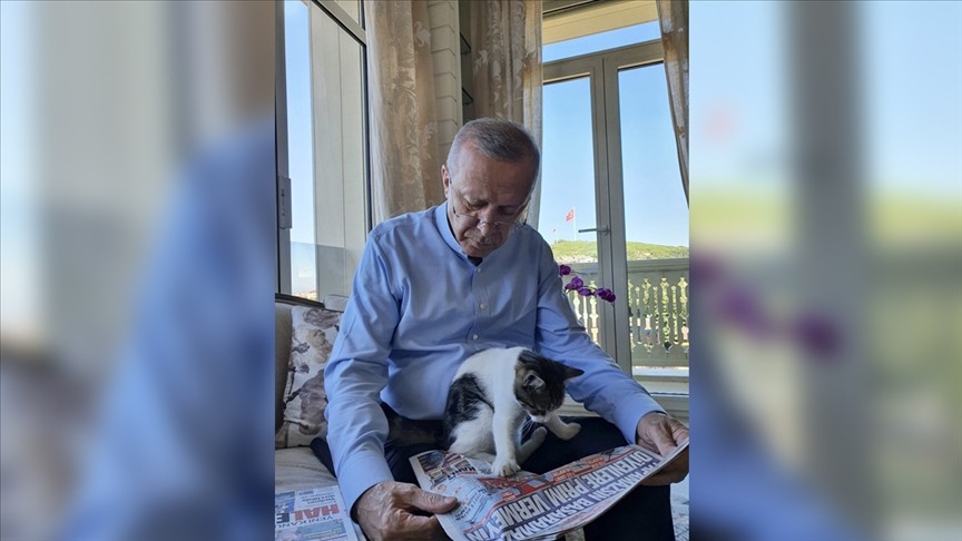 Erdoğan, torununun kedisiyle fotoğraf paylaştı