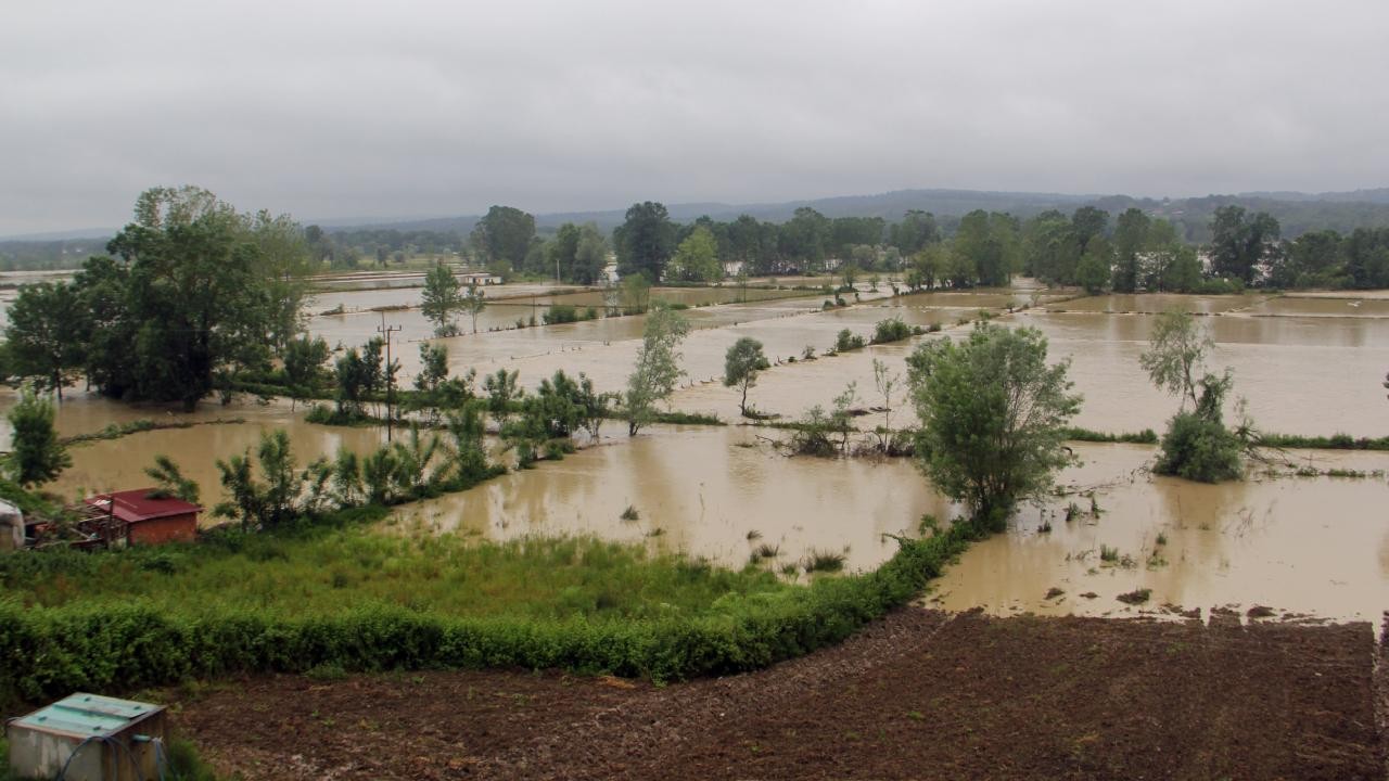 Sinop'ta tarım arazilerini su bastı