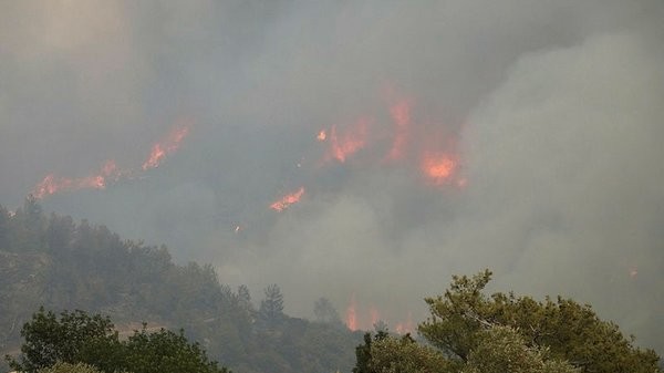 Bakanlar yangın bölgelerindeki son durumla ilgili açıklama yaptı