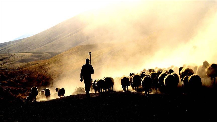 Van'da yıldırımın isabet ettiği çoban hayatını kaybetti