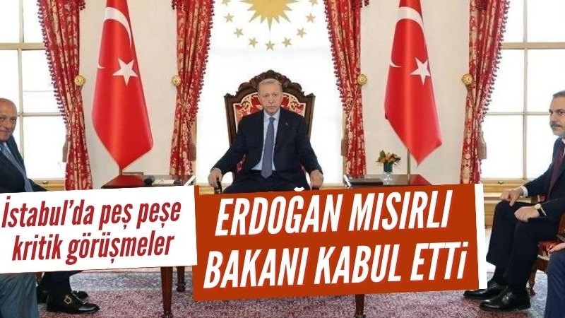 Başkan Erdoğan, Mısır Dışişleri Bakanı Şukri'yi kabul etti
