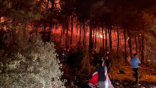 Fethiye'de orman yangını başladı