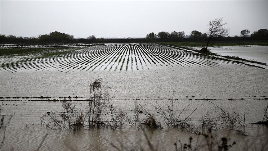 Karabük'te sağanak nedeniyle tarım arazileri zarar gördü