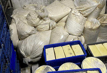 İzmir'de tarihi geçmiş yaklaşık 20 ton peynir ele geçirildi