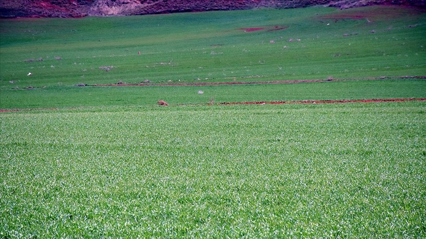 Kırıkkale'de atıl araziler tarıma kazandırıldı