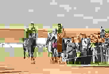 Bingöl'de Cumhuriyetin 100. Yılı dolayısıyla at yarışları düzenlendi