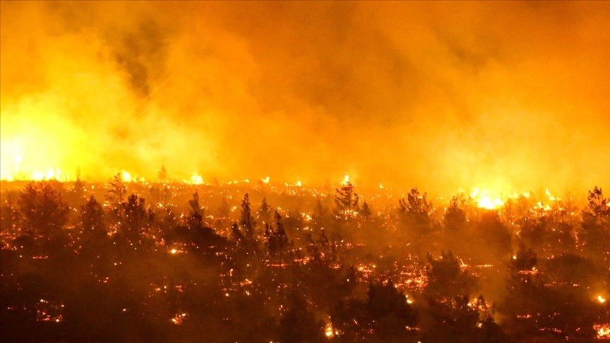 Şili'de orman yangını: Ölenlerin sayısı 13'e yükseldi