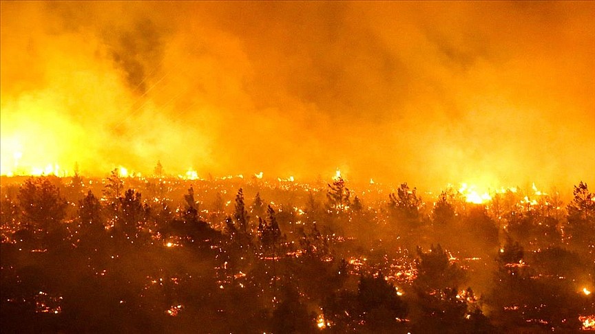 Şili'de orman yangını: Ölenlerin sayısı 13'e yükseldi