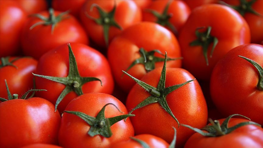 Kasımda en çok domatesin fiyatı arttı
